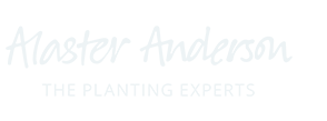 Alaster Anderson Logo